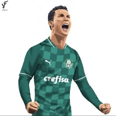t-shirt camiseta palmeiras ♡ (png) em 2023