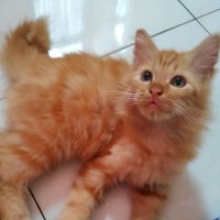 Yay (@yayayulk) 's Twitter Profile