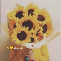 البرنسيسةة💛✨ (@albrnsyshtt8) 's Twitter Profile