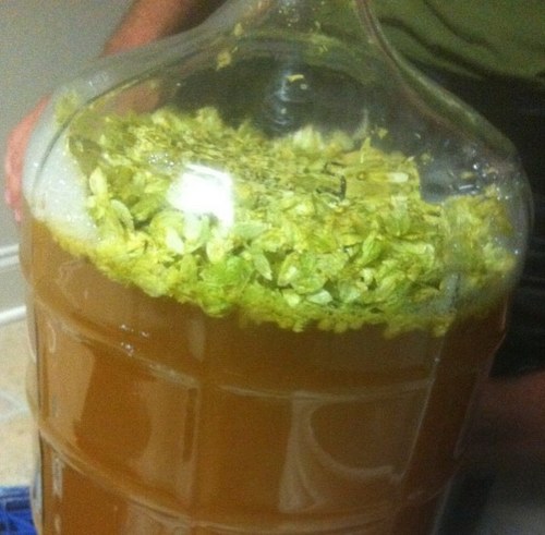 PounderTheGrey's profile picture. 