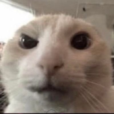 DaCe23929497's profile picture. who need they thussy ate