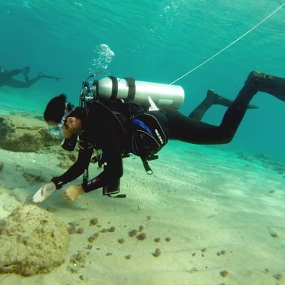 NickelsbergRoey's profile picture. 