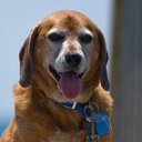 Barkley Brown - @Barkley_Brown - Twitter