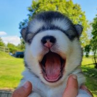 grall jc (@gralljc3) 's Twitter Profile