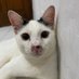 hayzee (@hahahihiowow) Twitter profile photo hayzee (@hahahihiowow) Twitter profile photo