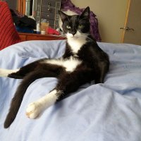 Sylv aka Steve (@akasylv) Twitter profile photo