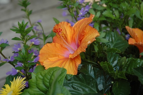 WalshPropertie1's profile picture. Real estate broker serving the Rockaway community.