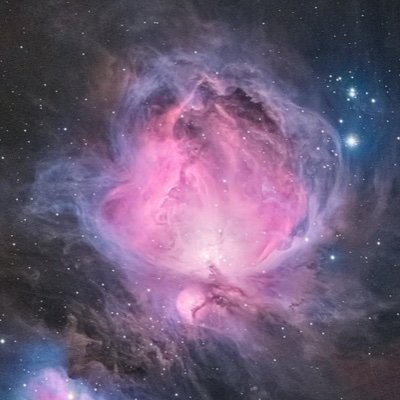 MockingTruth's profile picture. 