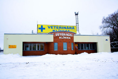 Vet_serviss's profile picture. SIA Veterinārais serviss, Rencēnu ielā 2, iepretim TC ''Azur''. Visa veida veterinārie pakalpojumi un preces Jūsu mīlulim.