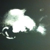 JMCSHARRY (@mcsharryjames70) 's Twitter Profile