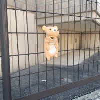 セリヌンティウス (@ki_haya) Twitter profile photo
