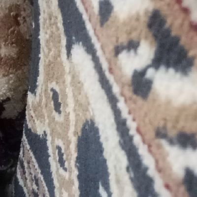 Imran818141472's profile picture. 