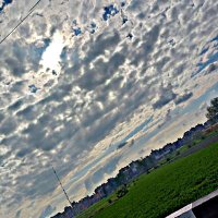 Alaa Elsharkasy (@alaa_elsharkasy) 's Twitter Profile
