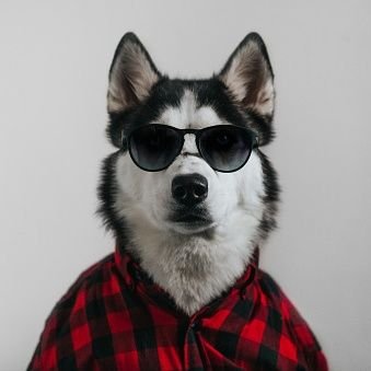 flppr0000's profile picture. Passionate about Crypto