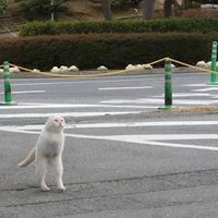 あ (@100004789110198) 's Twitter Profile Photo