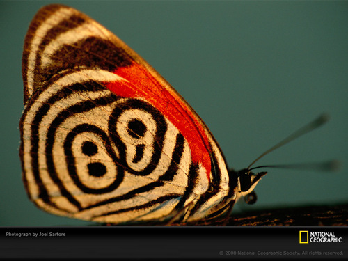 readyoga's profile picture. peace