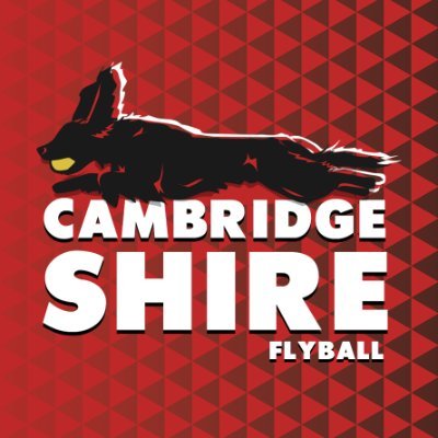 Cambridgeshire Flyball are a UKFL team based near Ely, Cambridgeshire. We aim to compete to the best of our ability but leave ample time to socialise too!