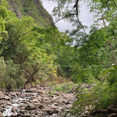 xb4dwthr5f54's profile picture. Hello