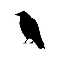 birdnode (@birdnode_) 's Twitter Profile