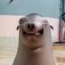 Bo Sredni Vashtar (@mondegreentea) Twitter profile photo Bo Sredni Vashtar (@mondegreentea) Twitter profile photo