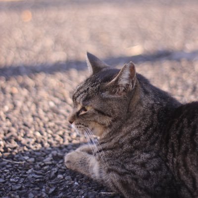 北杜高校ギター部11期/洗足学園音楽大学ギターコース卒業/Classical Guitarist/ギター弾いてます、教えてます/登山したい🗻/ギターカルテットLIBERTA