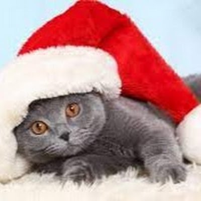 Jaqbkx's profile picture. 