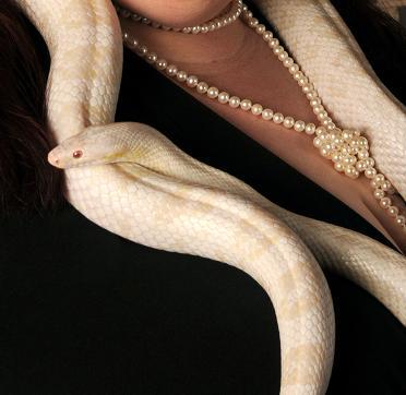 Zifralogic's profile picture. Sharing thoughts, giving advice if asked.