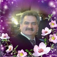 Fred Dickson (@freddickson1956) 's Twitter Profile