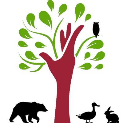 Looking for our amazing Youth Programs, check out our main Twitter @nevinslibrary1