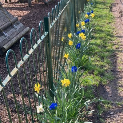 PsychSocPrez's profile picture. PhD candidate in creativity & AI