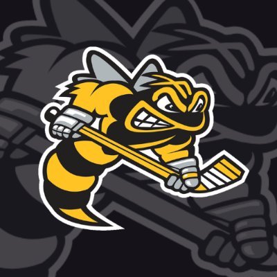 Lambton Jr Sting AAA minor hockey organization located in Sarnia, Ontario. Playing out of the Progressive Auto Sales Arena. Get your scores here!