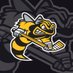 OFFICIAL Lambton Jr Sting AAA Hockey Club (@lambtonjsaaa) Twitter profile photo