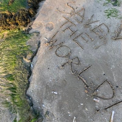 Save The World!
Save our Oceans
Our trees
Our Animals!
Donate to Team Seas!!!