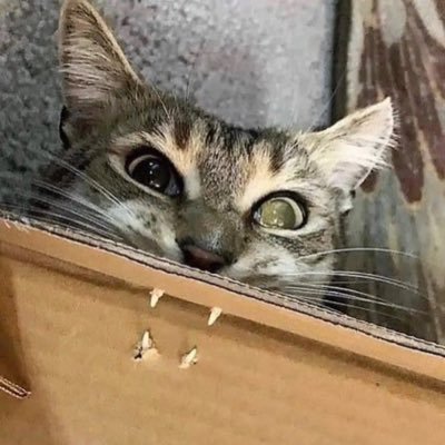 AgfqyaGDyNCj823's profile picture. 