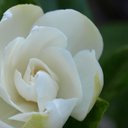 Katie Higgins - @KittyHogan - Twitter