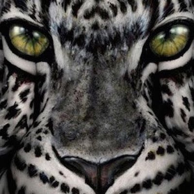 pine17858973's profile picture. 