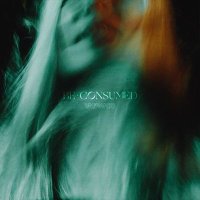Vagrants (@vagrants_band) 's Twitter Profile