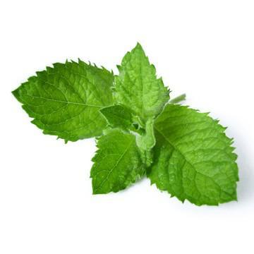 SmokeMenthol's profile picture. 