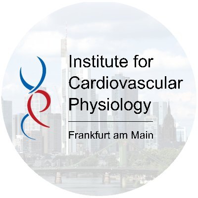 Official twitter account of the Institute for Cardiovascular Physiology | Goethe University Frankfurt am Main | @goetheuni | Director: @Ralf_P_Brandes