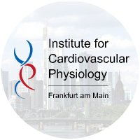 Institute for Cardiovascular Physiology(@BrandesLab) 's Twitter Profile Photo
