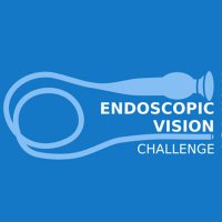 Endoscopic Vision (EndoVis) Challenge(@endo_vis) 's Twitter Profile Photo