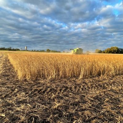 Canadian farmer growing corn, soy and wheat. Trying my best to take care of our soil.