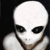 A Leon (@1alien2) Twitter profile photo A Leon (@1alien2) Twitter profile photo