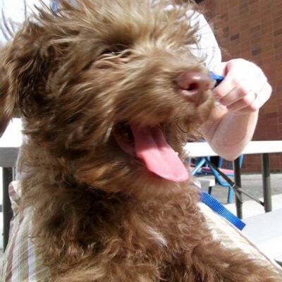 Profile Picture of Kevin Ahlstrom (@kevahlstrom) on Twitter
