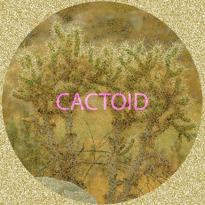 Cactoid Labs Profile