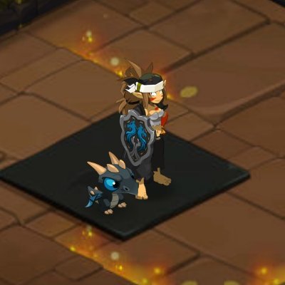 J'ai repris dofus depuis un peu moins d'un an, le jeu est plus compliqué qu'avant mais avec bcp de contenu. Go découvrir tout ça!