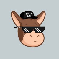 Jo (@crypto_jo8) 's Twitter Profile