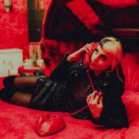 StudCountUSA (@studcount) 's Twitter Profile