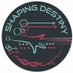 Shaping Destiny (@ShapingDestinyx) Twitter profile photo