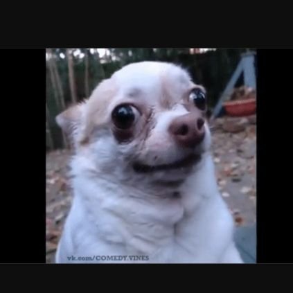 fjfufuei's profile picture. 